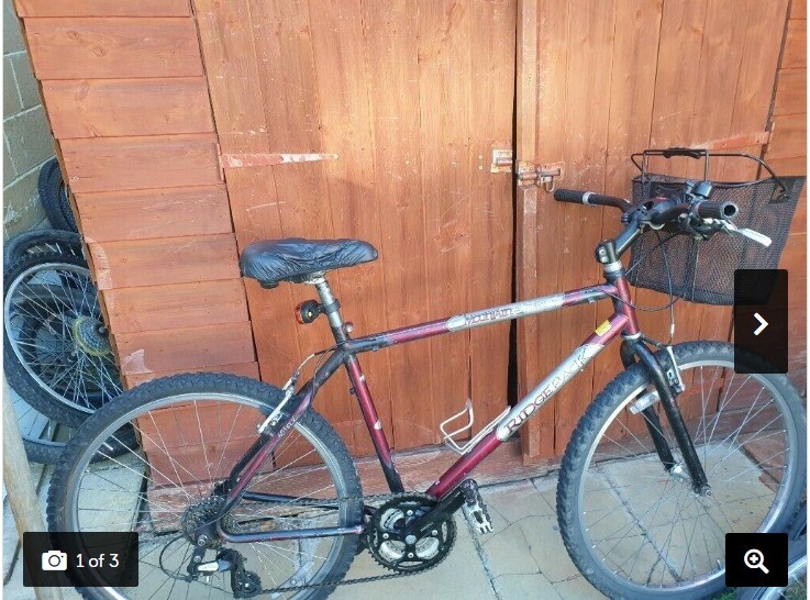 ridgeback mountain sport